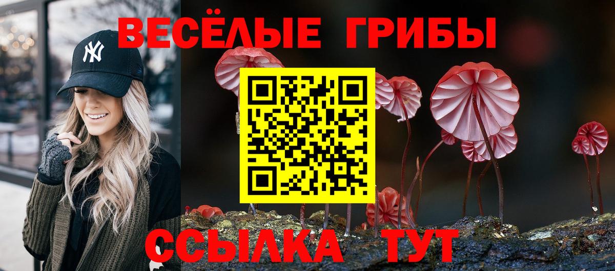Малгобек  Галлюциногенные грибы GOLDEN TEACHER  Галлюциногенные грибы прущие грибы  Вход с VPN 